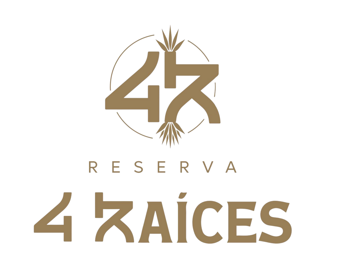 4Raíces